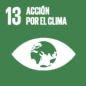 ODS13