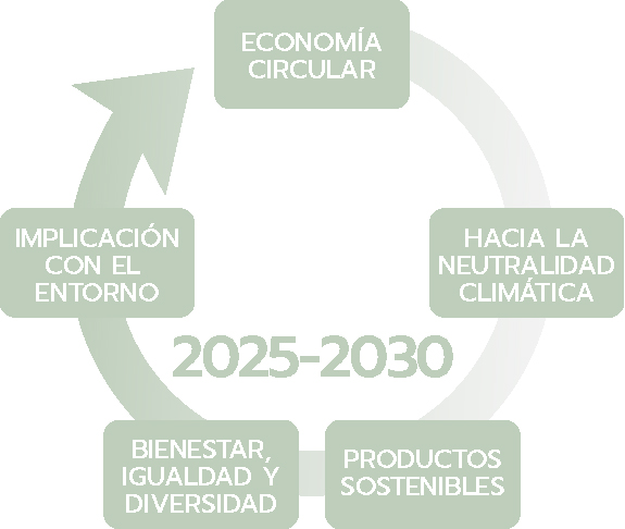 grafico_cinco_ejes_sostenibilidad